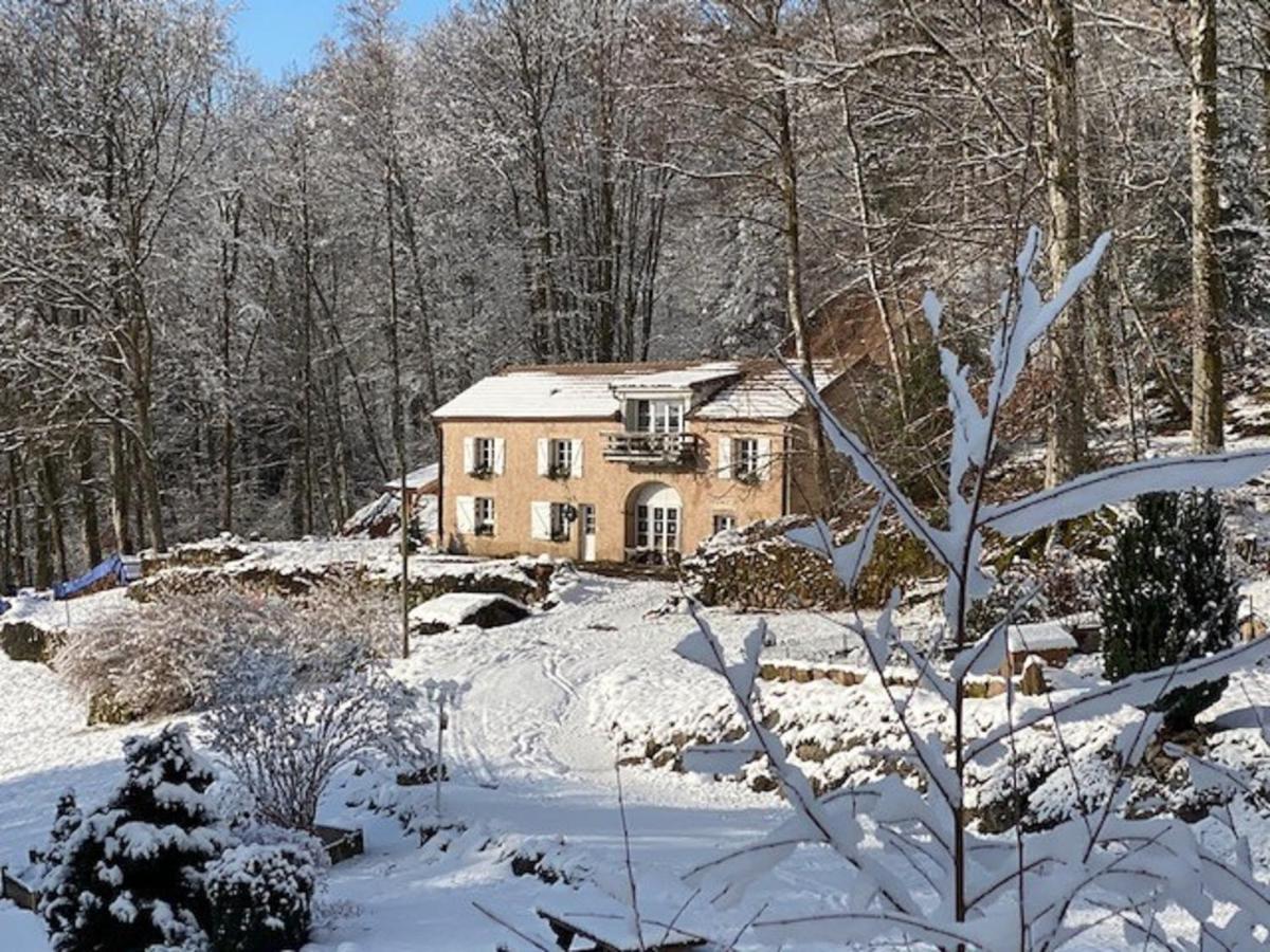 Gite Du Bois Des Hauts Les Mille Etangs La Lanterne-et-les-Armonts 外观 照片