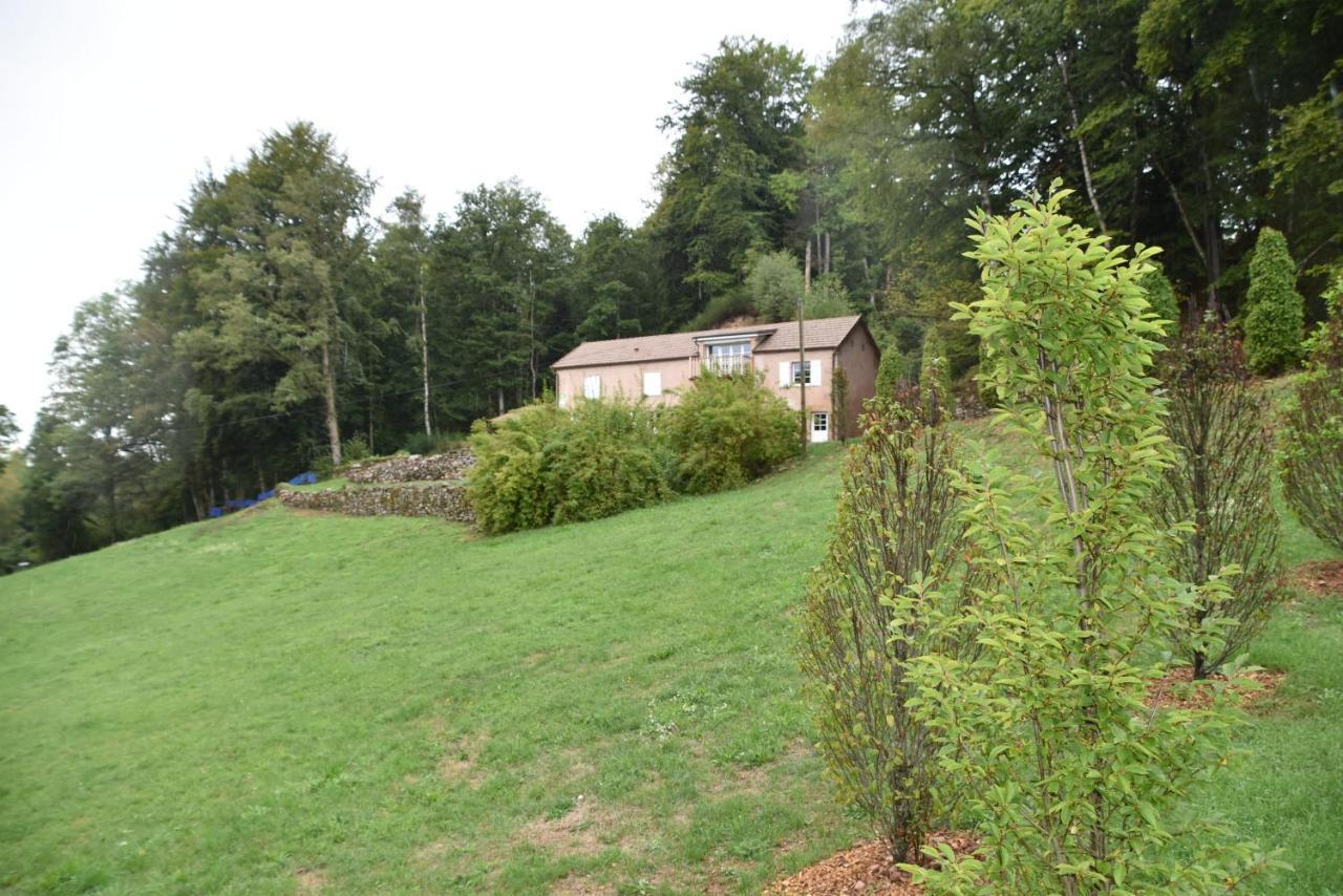 Gite Du Bois Des Hauts Les Mille Etangs La Lanterne-et-les-Armonts 外观 照片